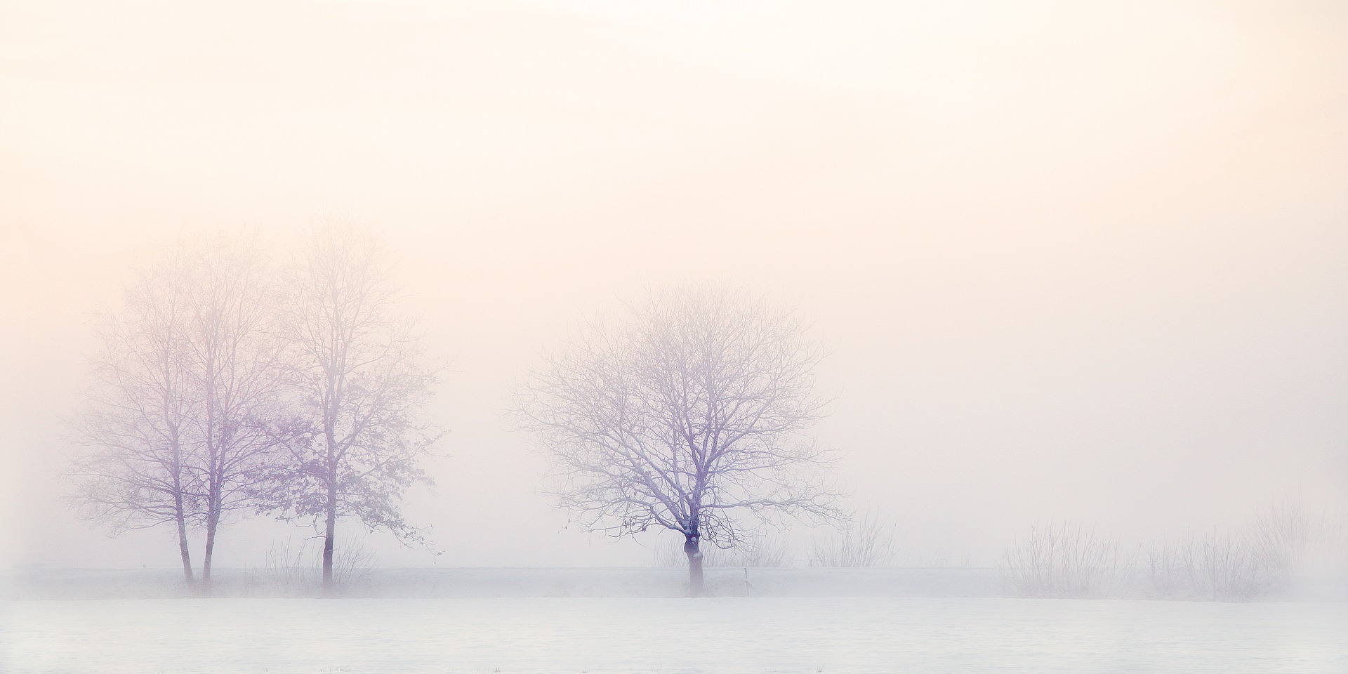 A winter landscape with snow-covered trees